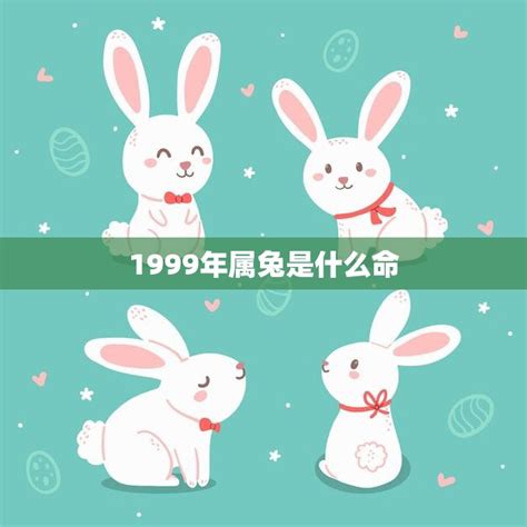 1999兔|1999年属兔是什么命 1999年属兔人一生命运